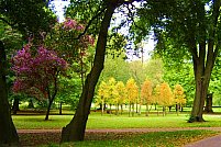 Parcul Engels