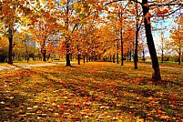 Parcul Iuliu Hateganu (Parcul Babes)