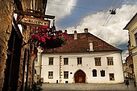Bistro Viena