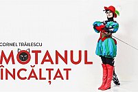 Motanul încălțat