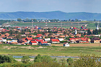 Primaria Mihai Viteazu