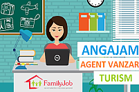 Agent vanzari