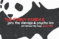 The Funky Pandas