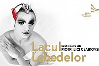 Lacul lebedelor