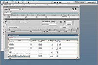 Program ERP: Winmentor