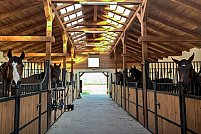 TSH Stables