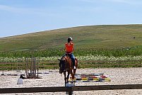 TSH Stables