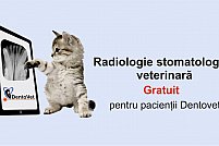 Stomatologie veterinara in Cluj