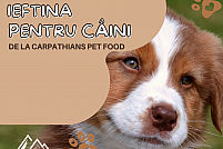 Cauți hrană ieftină pentru câini? Dar vrei să fie de calitate?