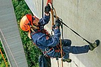 Spider Alpin