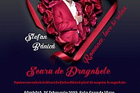 stefan banica