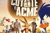 Coyote vs. Acme