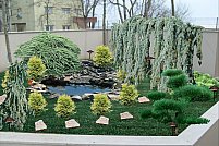 Edelweiss Gardens