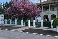 Primaria Negru Voda
