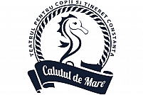 Teatrul Calutul de mare