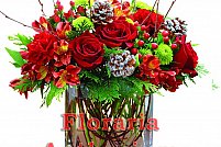 Floraria Anthurium Flowers