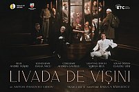 Livada de visini