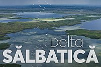 Delta sălbatică