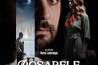 Dosarele orașului alb