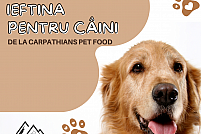 Hrană ieftină pentru câini - Carpathians Pet Food