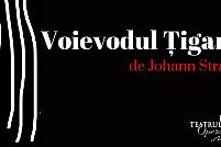 Voievodul Tiganilor