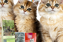 Hrana pentru pisici - Carpathians Pet Food