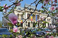 Primaria Craiova