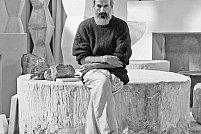 Brancusi impotriva Statelor Unite