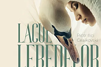 Lacul Lebedelor