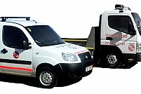 Borg Serv