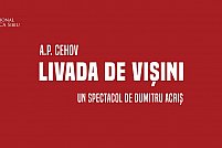Livada de visini